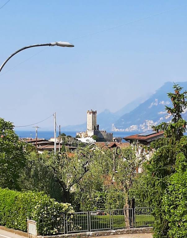 foto11
