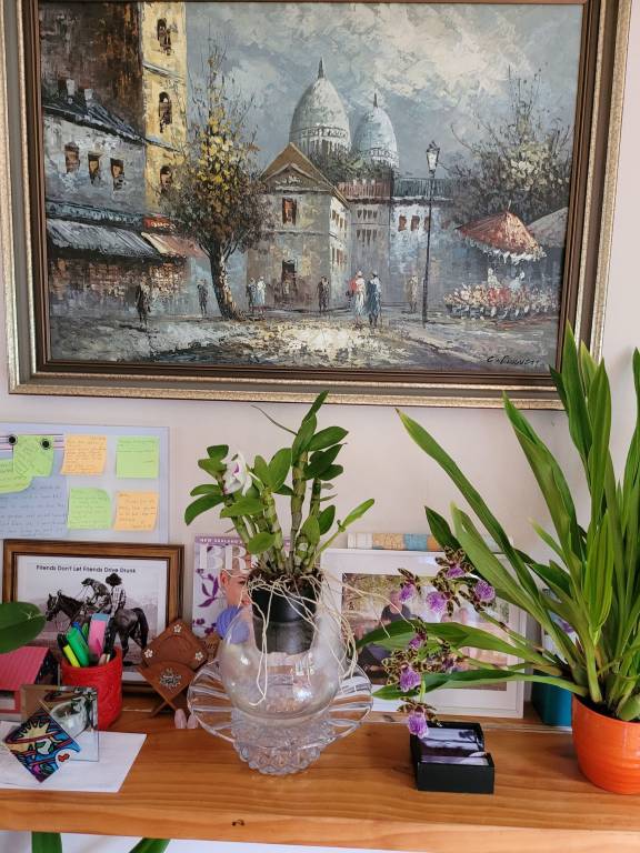 foto13