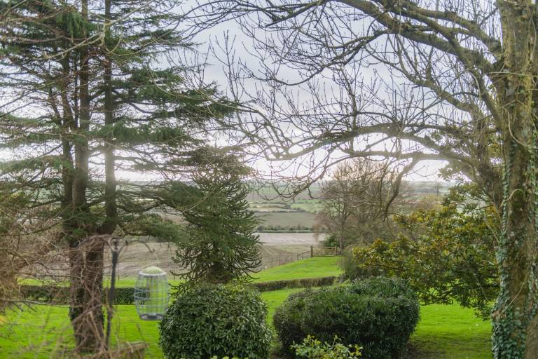 Cottage  Aldington
