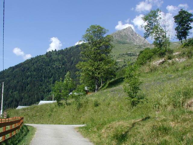 foto32