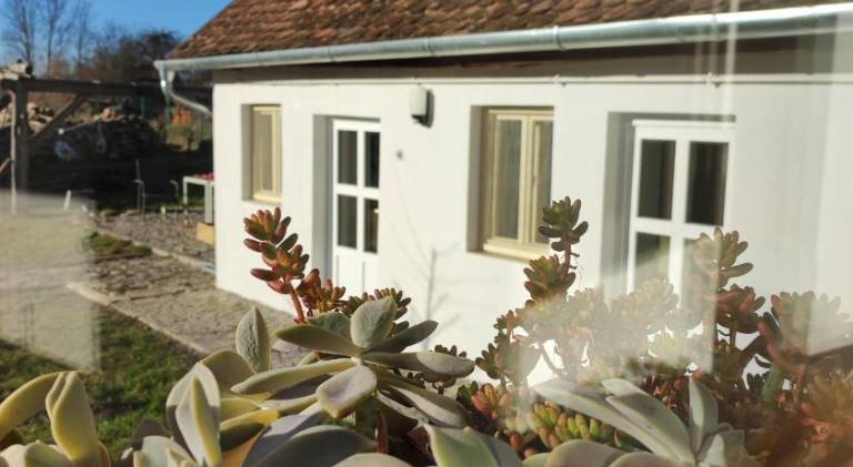 Serviced apartment with jacuzzi, garden & sauna | Pets allowed in Brasov