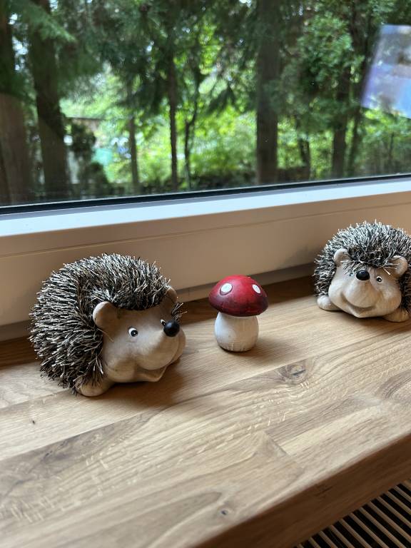 foto26