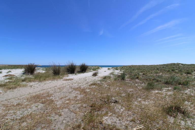 foto18