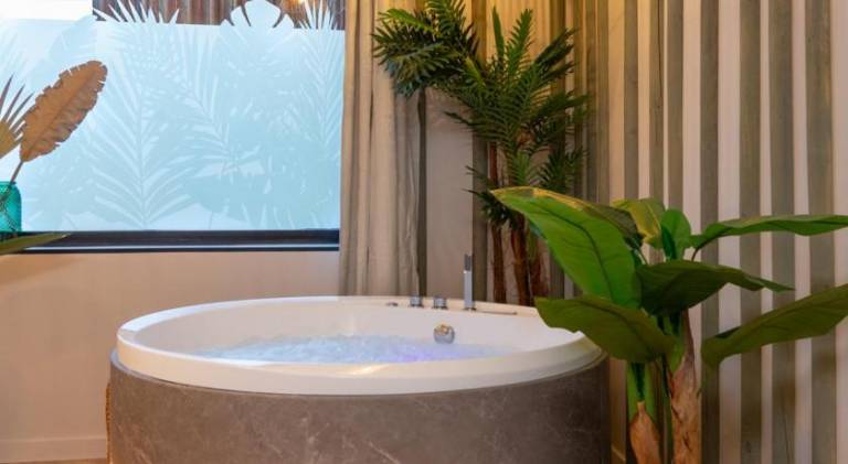 Beautiful holiday apartment with jacuzzi & sauna | Pets are welcome in Strasbourg
