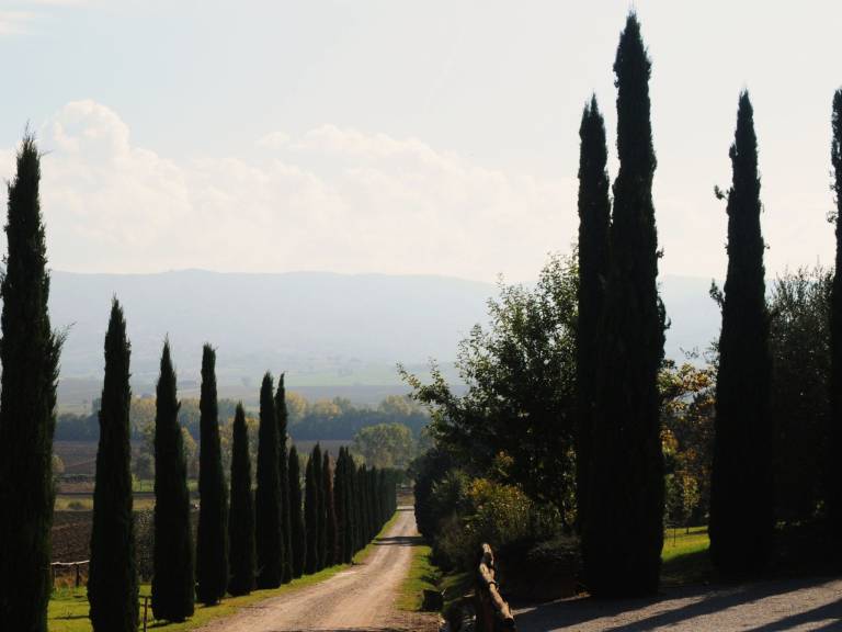 Ferienwohnung Trasimenischer See