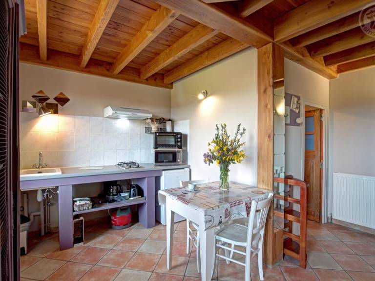 Cottage with barbeque & garden — photo 4