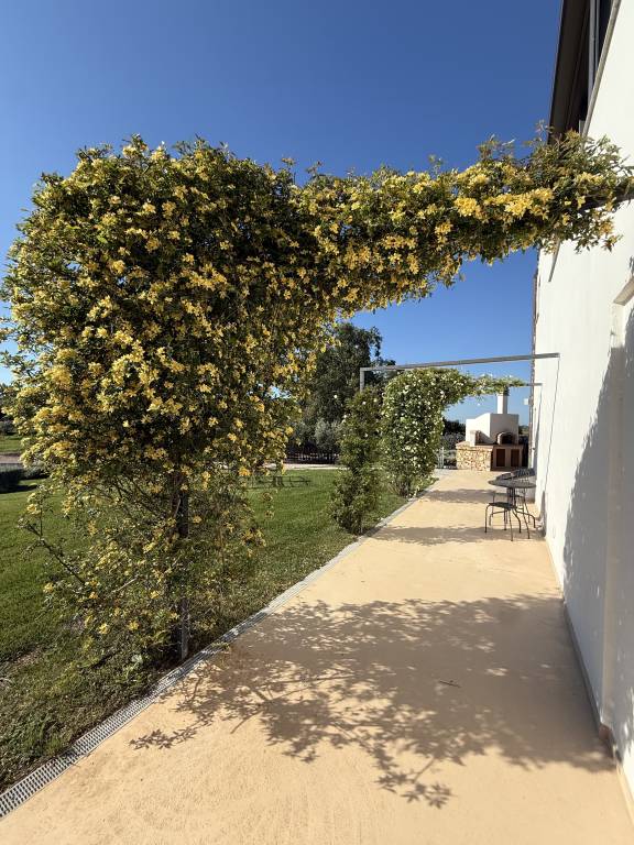 House with patio, private pool & yard — photo 4