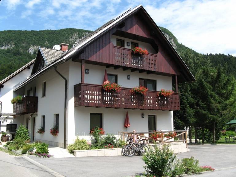 Apartma Bitnje