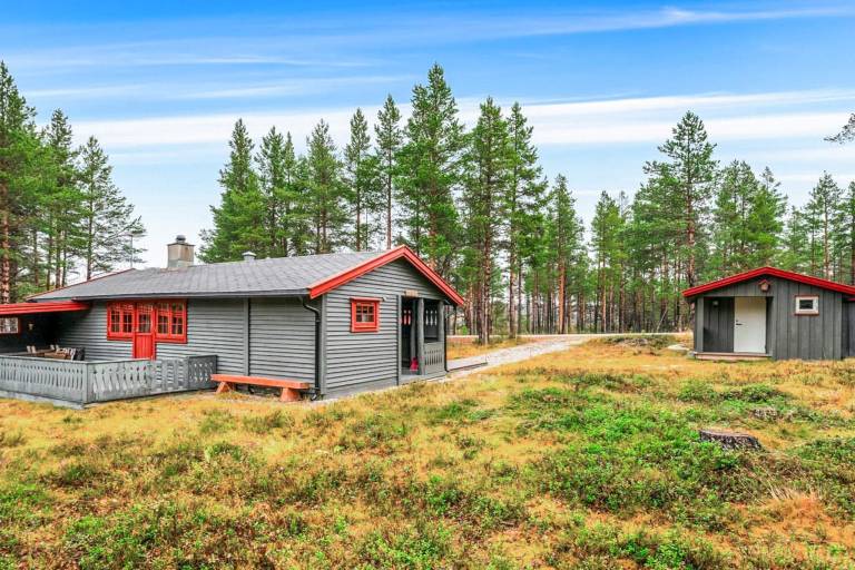 Ferienhaus Røros