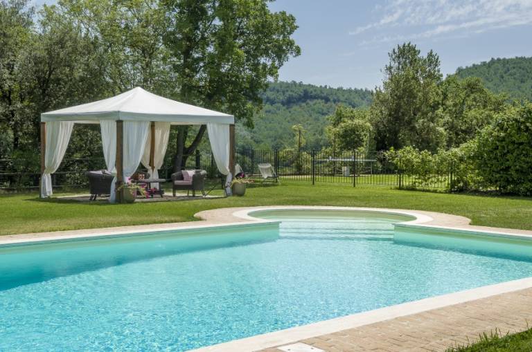 Tenuta La Torraccia: ULIVO — photo 3
