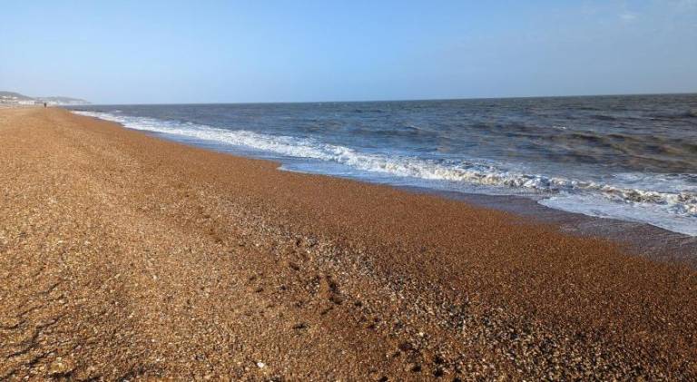 Seahorse House, Beautiful Large house next to the Beach & Park & near Zoo, Hythe in Folkestone