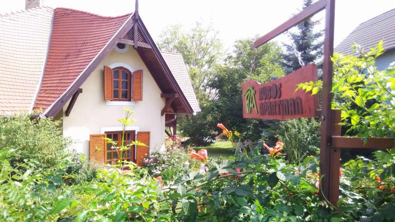 House with garden, terrace & barbecue — photo 3