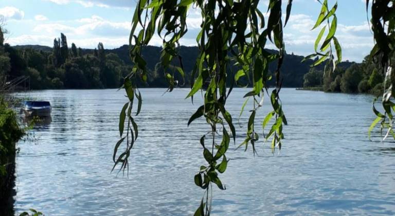 Holiday apartment | Pet-friendly in Orgeval