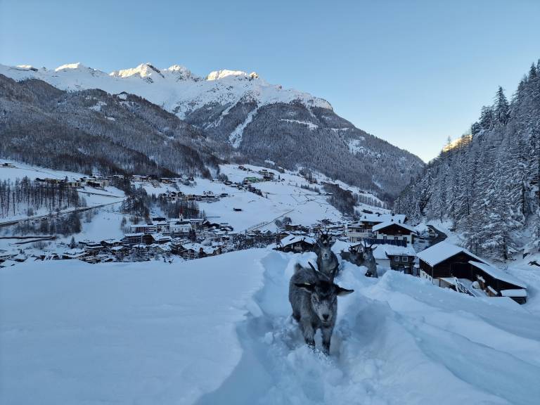 Family-oriented charming holiday apartment with barbeque, sauna & yard | Garden view | Ski nearby | Dogs allowed — photo 3