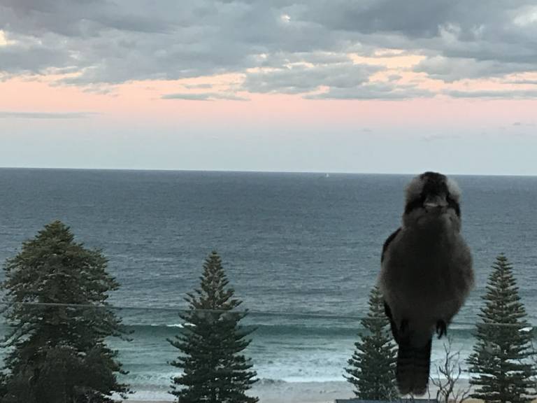 Villa Avoca Beach