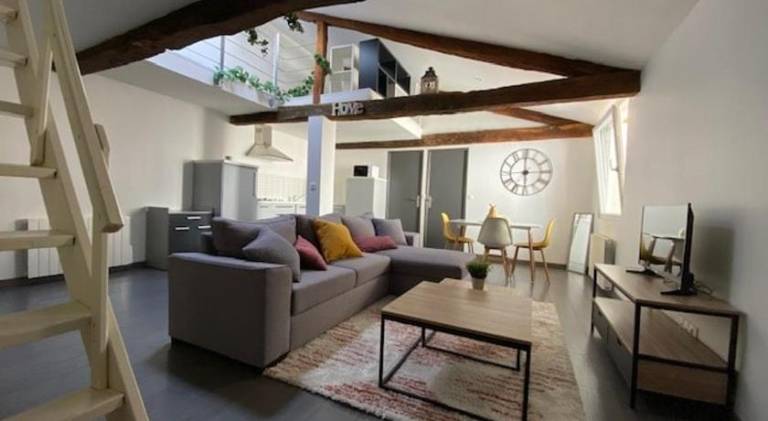 Wonderful apartment | Pet-friendly in Albi