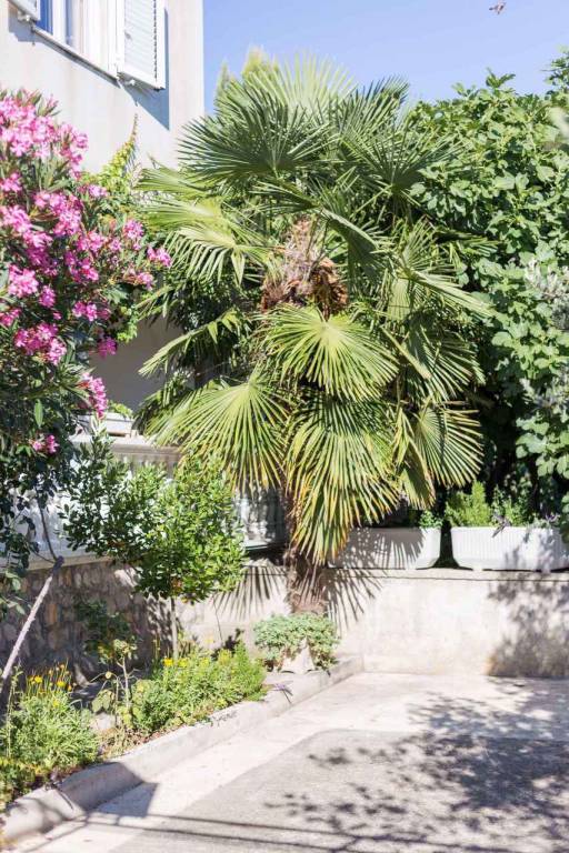 Apartment with yard & terrace | Close to the beach | Dogs allowed — photo 5