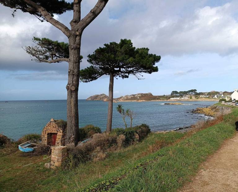 Appartement Plougasnou