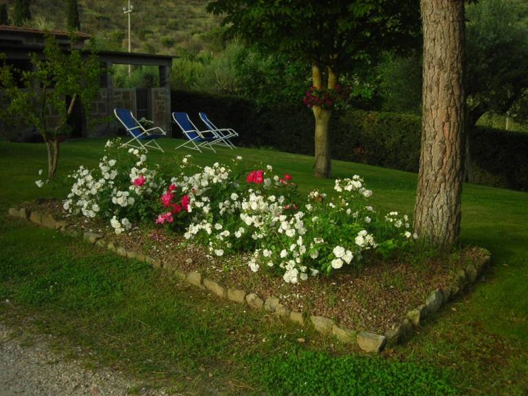 foto10