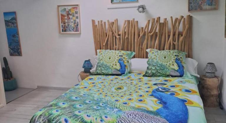 Rental apartment with terrace in Collioure