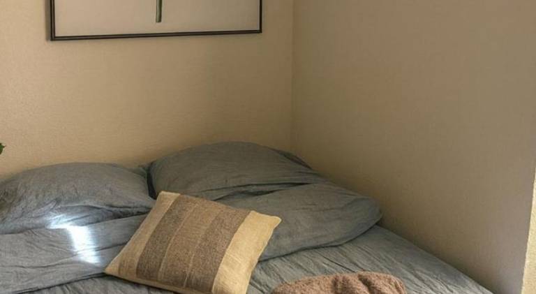 Rental apartment | Pet-friendly in Fribourg