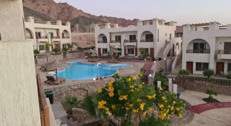 Nice holiday apartment with pool | Close to the beach | Pet-friendly — photo 3