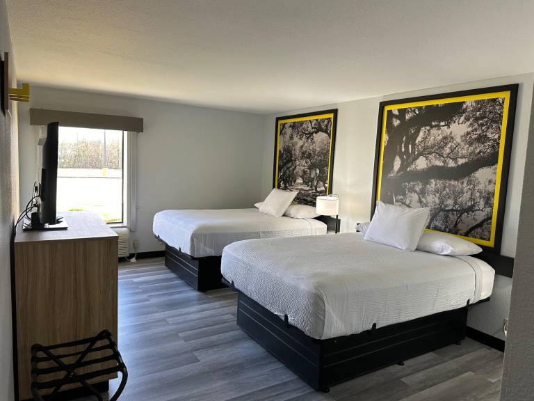 Super 8 by Wyndham Alexandria LA in Alexandria, LA