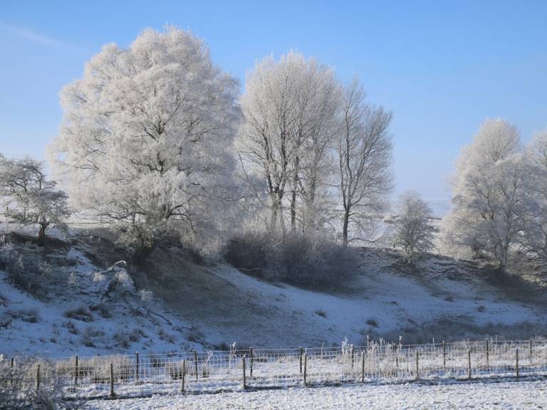 Cottage Sedbergh