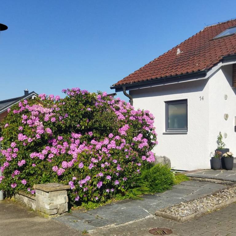 foto2