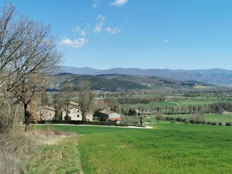 foto23