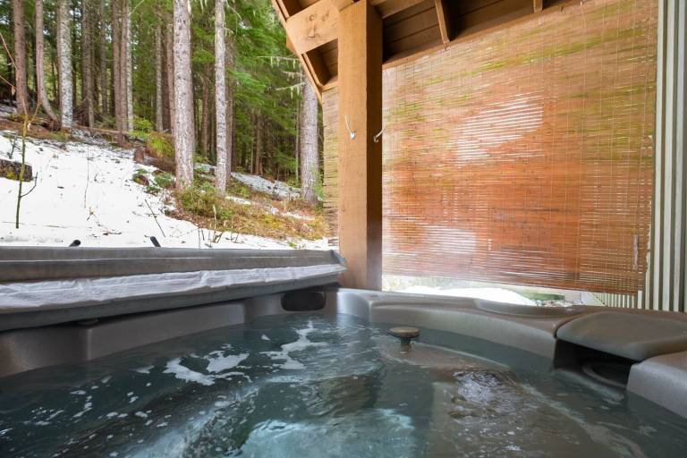 Condo Whistler
