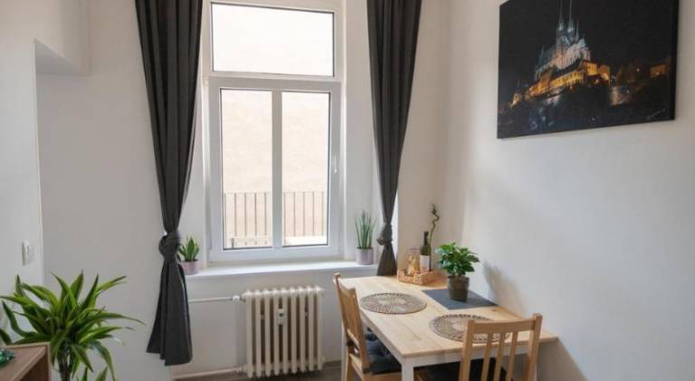 Nice rental apartment | Near Špilberk Castle | Pets allowed — photo 3