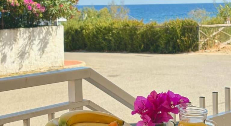 Rental apartment with garden in Siniscola