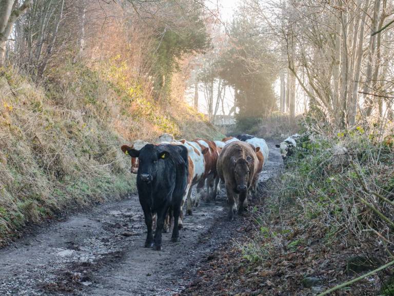foto22