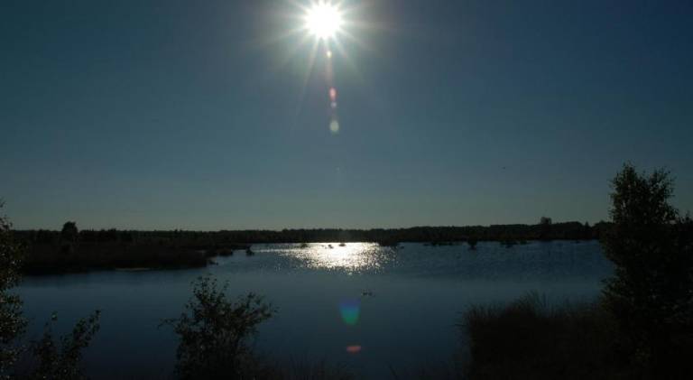 foto6