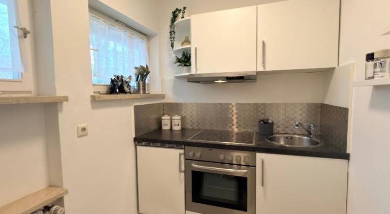 Charming rental apartment | Pets are welcome — photo 4