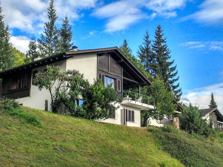 Ferienhaus Wald