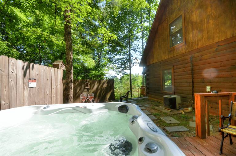 Cabin  Bryson City