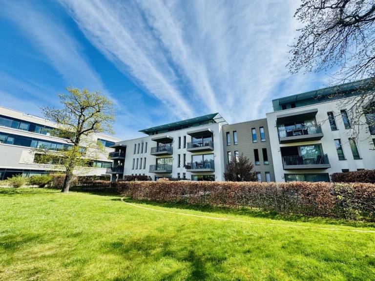 Ferienwohnung  Hohe Düne