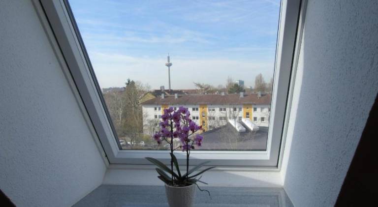 Haus Aja Textor-Goethe — photo 2