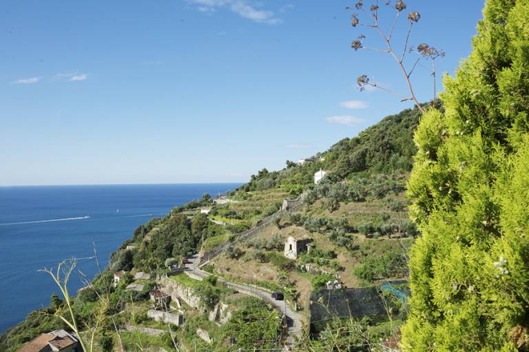 Sopra il Limoneto: SIMONA & NICOLA — photo 5