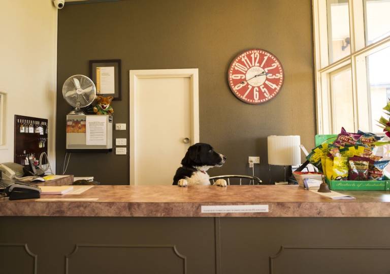 Motel  Traralgon