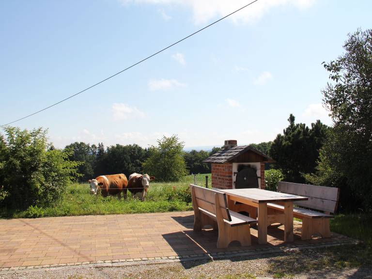foto12