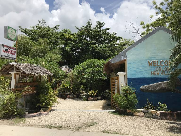 Hostel  Oslob