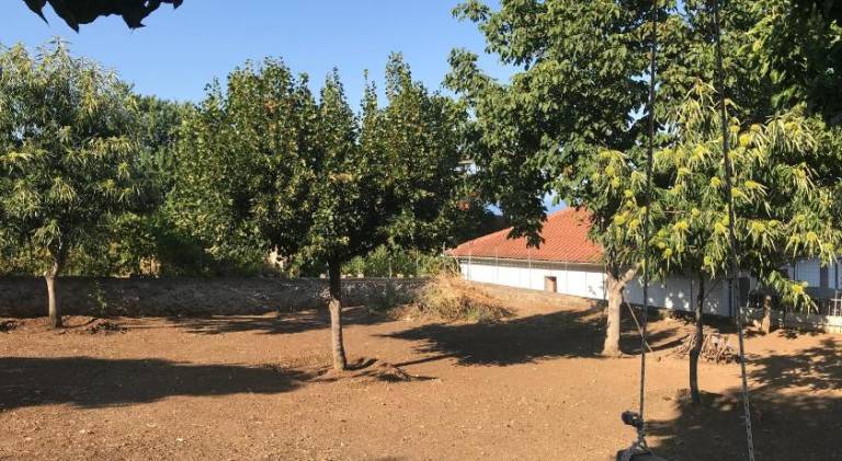 foto20