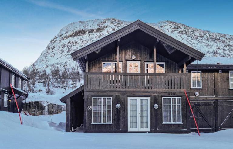 Feriehus  Hovden i Setesdal