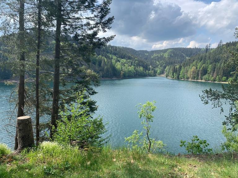 foto25