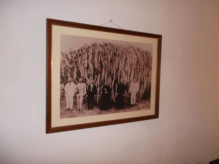 foto8