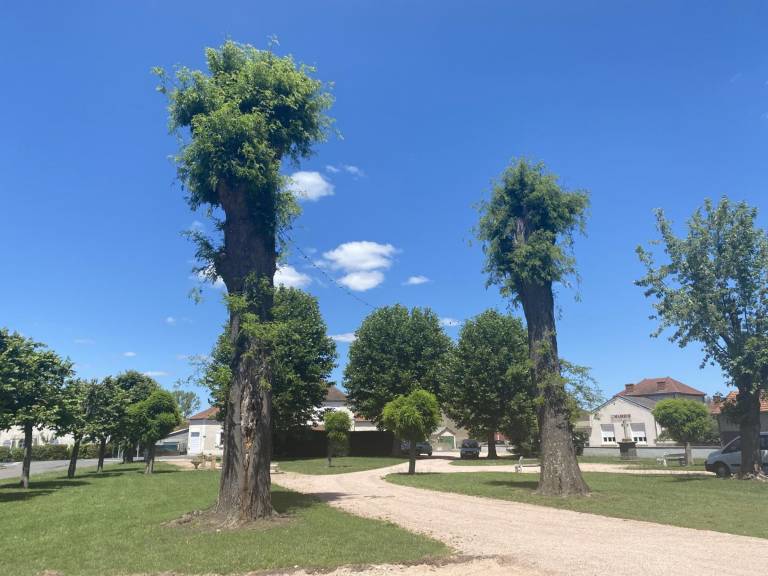 foto15