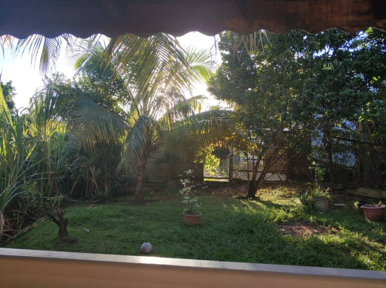 foto7